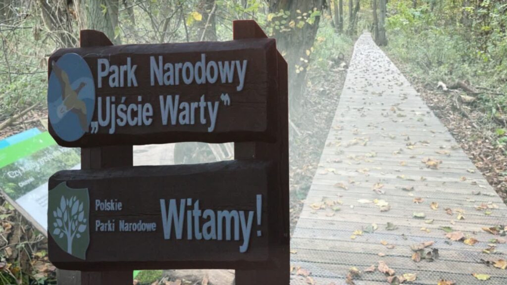 Fot. Park Narodowy "Ujście Warty"/FB i Miasto i Gmina Witnica/FB