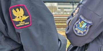 Patrole SOK i policji