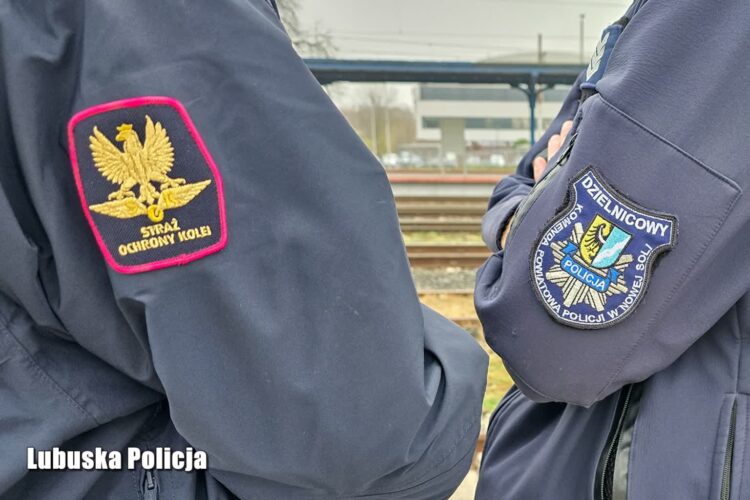 Patrole SOK i policji