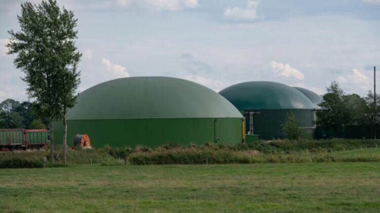 Zdjęcie ilustracyjne. Fot. Freepik