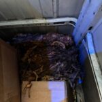 Fot. Lubuska Policja