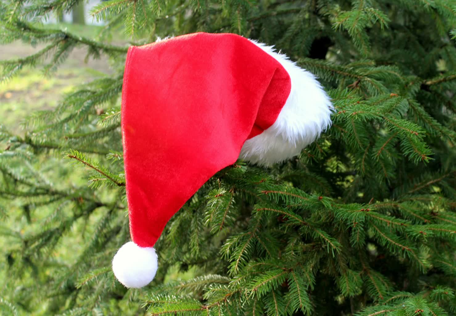 Mikołajkowe spotkania u bibliotekarzy Radio Zachód - Lubuskie