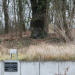 fot: PAP/Lech Muszyński