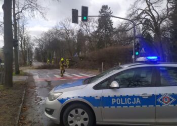 Ostrzeżenie przed wichurami Radio Zachód - Lubuskie