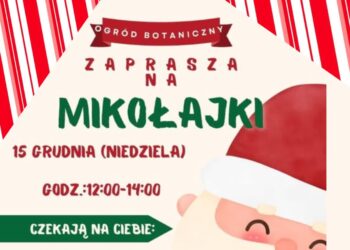 W niedzielę mikołajki w Ogrodzie Botanicznym Radio Zachód - Lubuskie