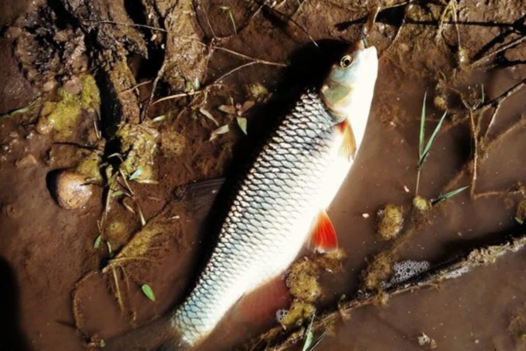 Zdjęcie ilustracyjne. Fot. Freepik