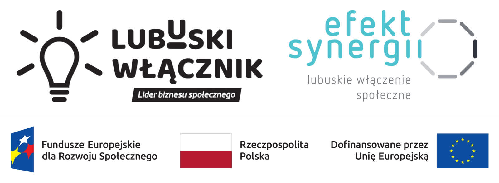 "Lubuski Włącznik" rozstrzygnięty! 13 logotypy.png