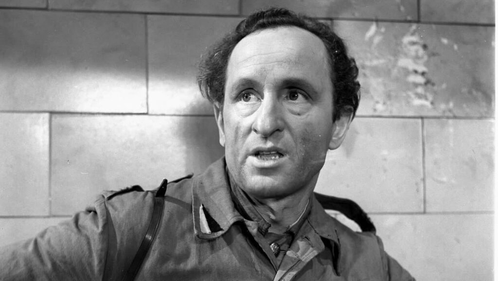 Fot. PAP/CAF/Witold Rozmysłowicz