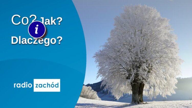 Spędzamy ferie zimowe w Zielonej Górze Radio Zachód - Lubuskie