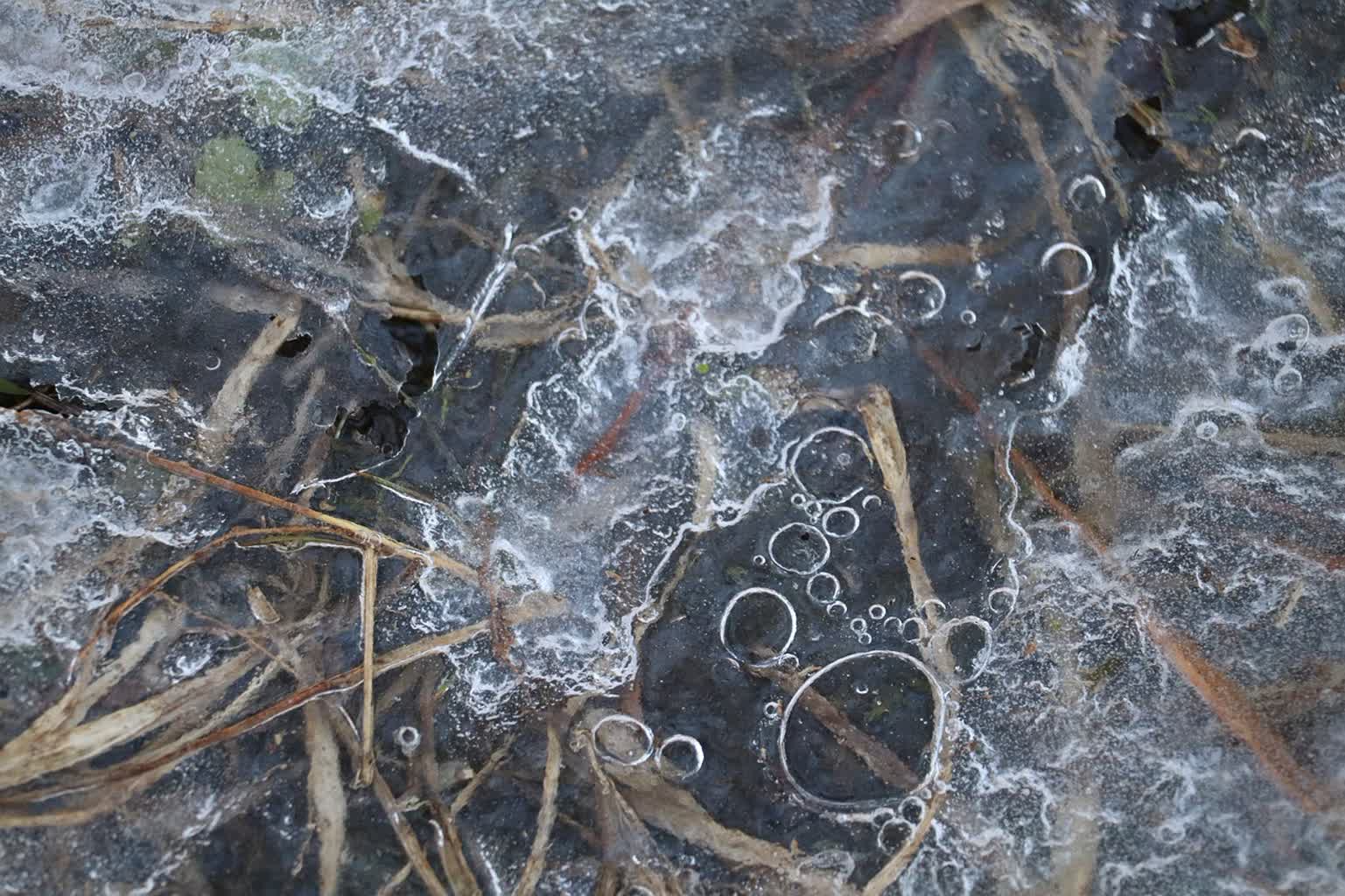 Policja ostrzega przed wchodzeniem na lód Radio Zachód - Lubuskie