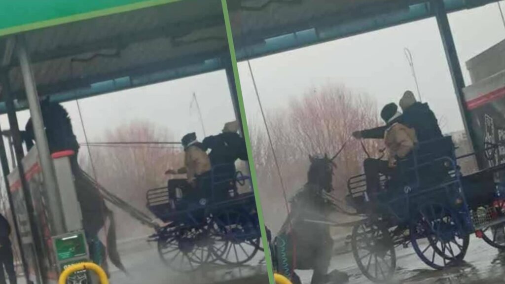 Myli konia w myjni samochodowej. Policja wyjaśnia sprawę znęcania się nad zwierzęciem Myli konia w myjni samochodowej. Policja wyjaśnia sprawę znęcania się nad zwierzęciem Radio Zachód - Lubuskie