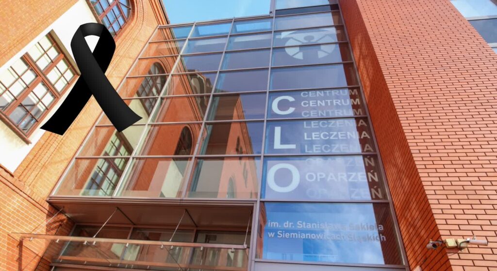 Fot. PAP/Michał Meissner i Pixabay