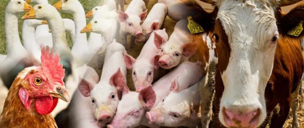 Fot. Agencja Restrukturyzacji i Modernizacji Rolnictwa