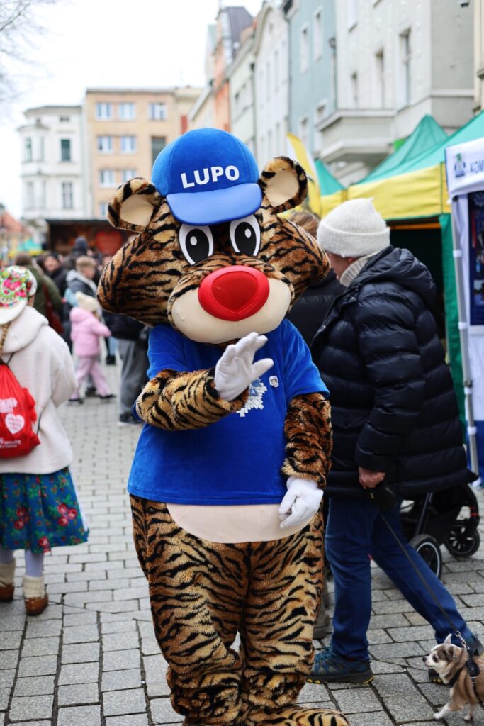 "Wspaniały" - miasto o finale WOŚP [GALERIA ZDJĘĆ] Radio Zachód - Lubuskie