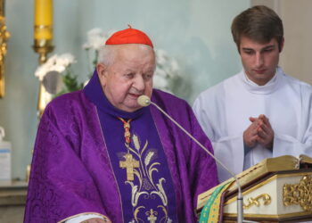 Kardynał Stanisław Dziwisz Fot. PAP/Łukasz Gągulski