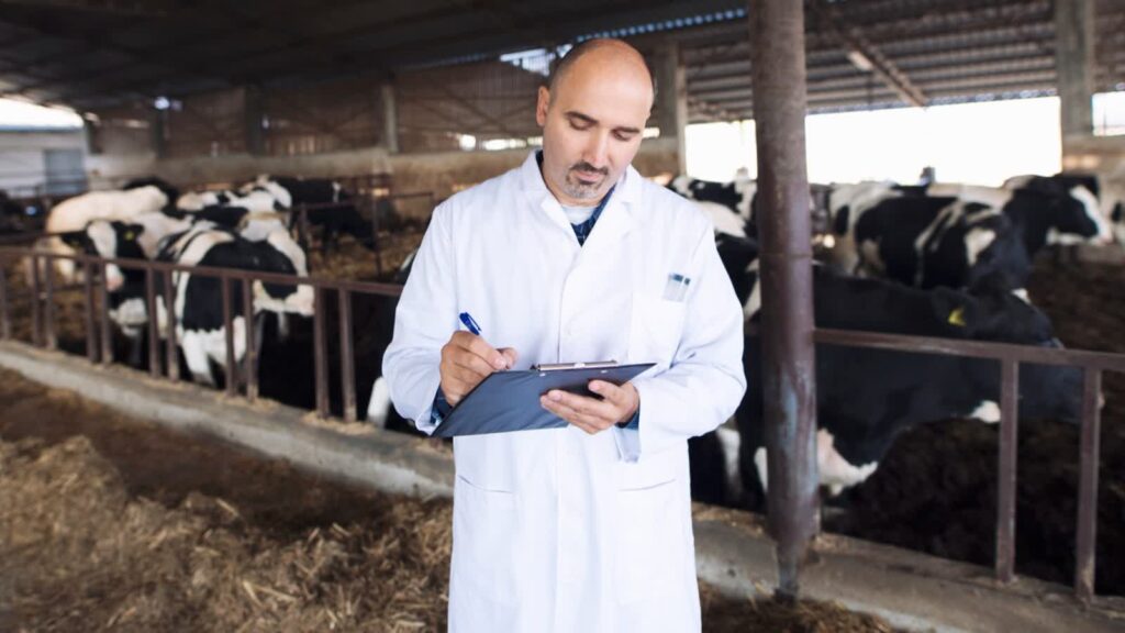 Główny Inspektor Sanitarny wydał wytyczne dla lekarzy w związku z pryszczyca 3 Zdjęcie ilustracyjne. Fot. Freepik