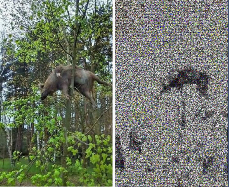 Analiza kompresji zdjęcia