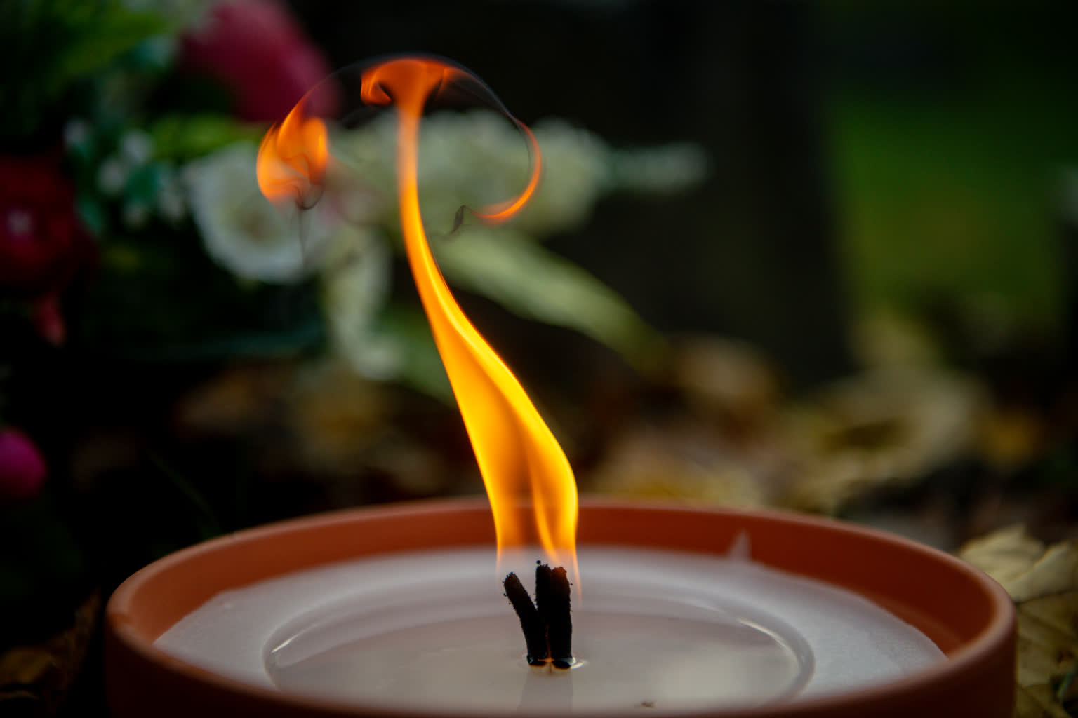 Cmentarz przy ul. Wrocławskiej do rozbudowy Radio Zachód - Lubuskie