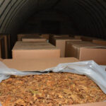 Izba Administracji Skarbowej w Zielonej Górze