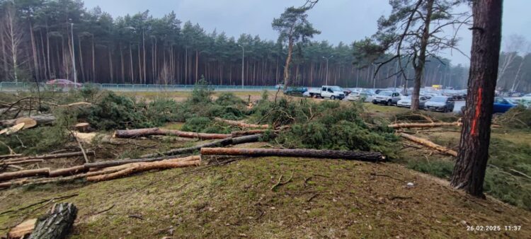 parking - szpital w Nowej Soli