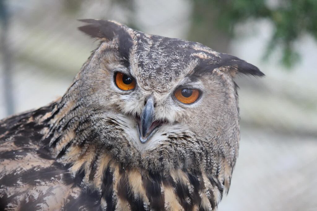 Zdjęcie ilustracyjne. Fot. Pixabay