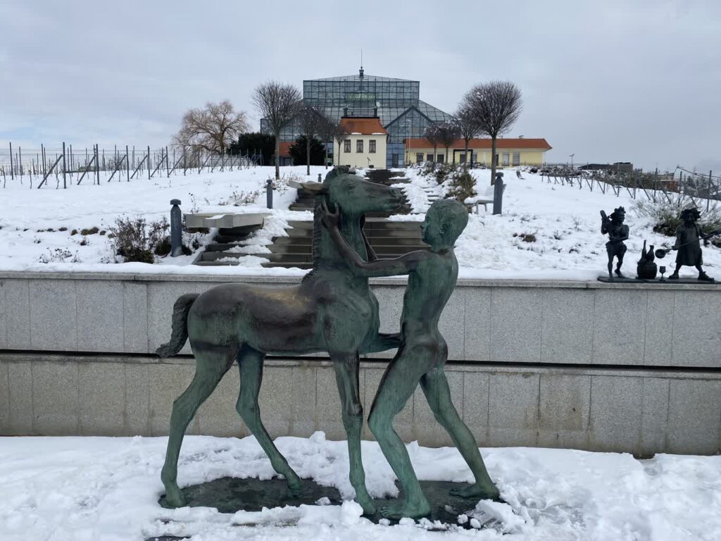 Sonda - jak Lubuszanie korzystają z zimowej aury? Sonda - jak Lubuszanie korzystają z zimowej aury? Radio Zachód - Lubuskie