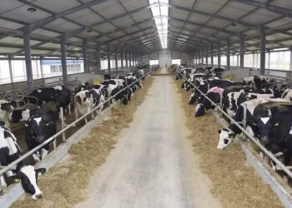 Championy w HZZ Osowa Sień 1 Championy w HZZ Osowa Sień Radio Zachód - Lubuskie