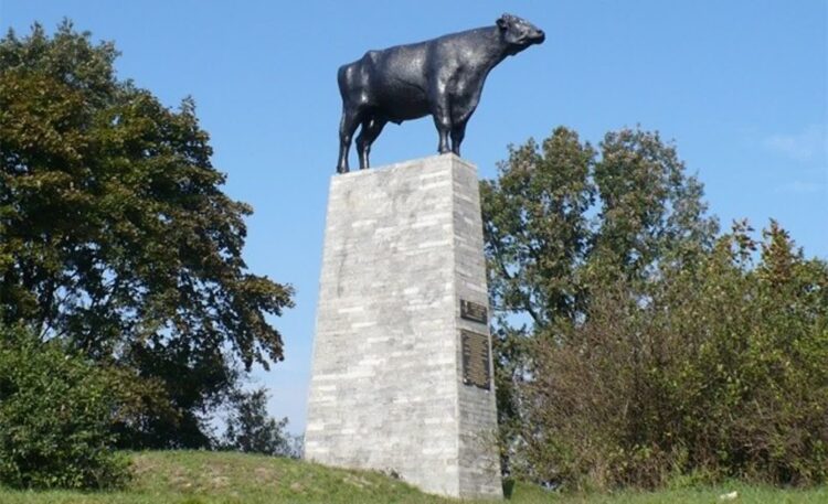 Pomnik byczka we Wschowie 9 Ilon pomnik