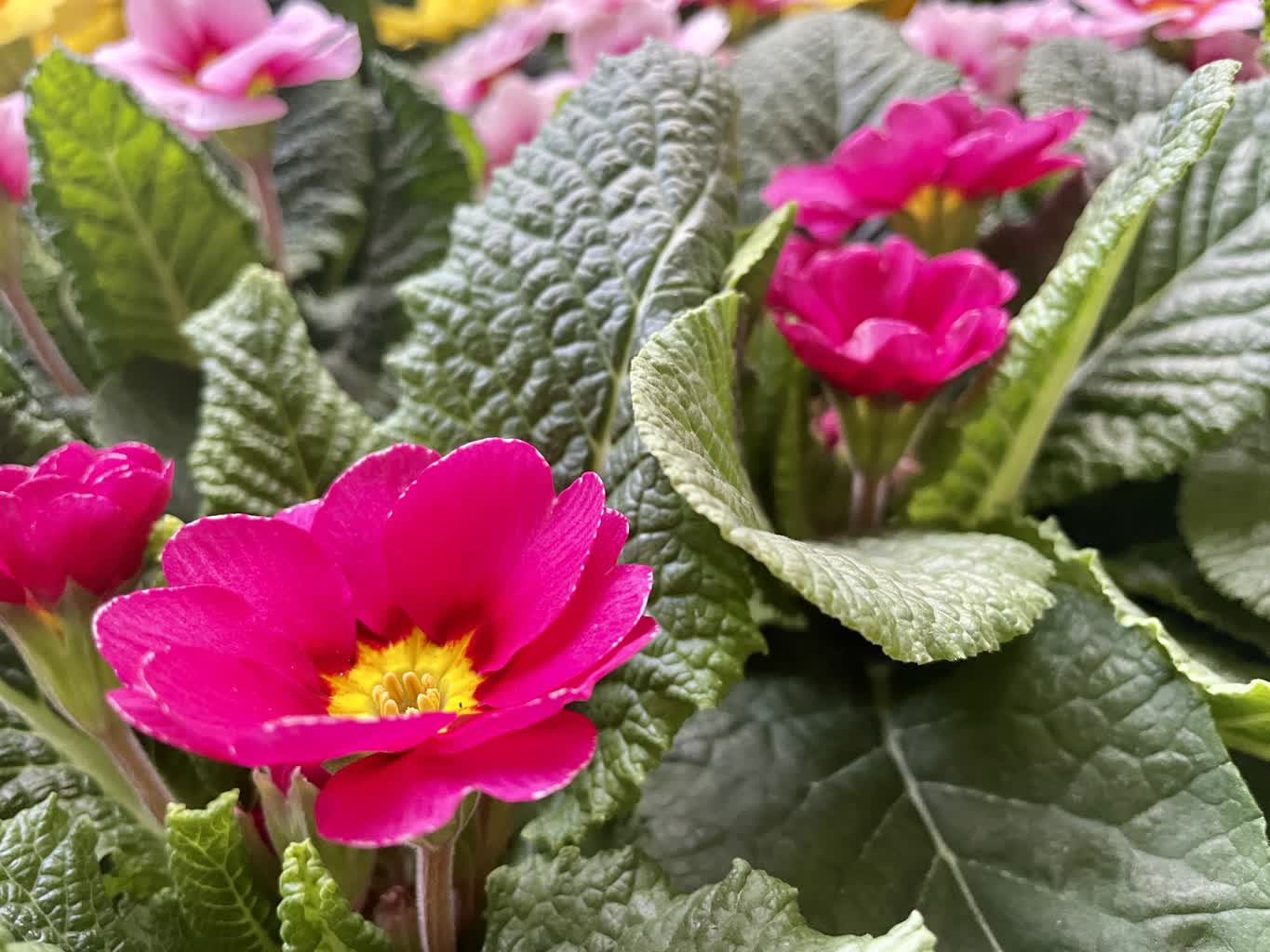 ZGK przygotowuje się do wiosny Radio Zachód - Lubuskie