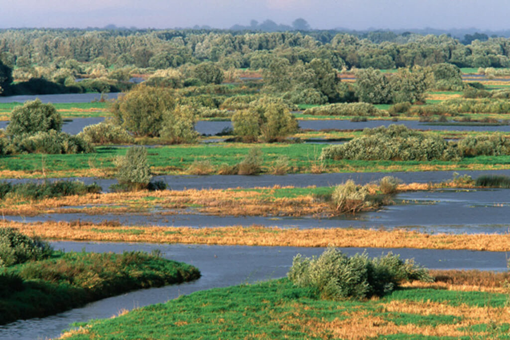 Widok z wieży obserwacyjnej w Chyrzynie (© Przemysław Szymoński)