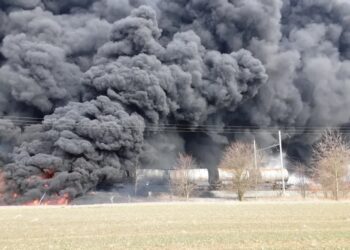 Fot. X/Hasičský záchranný sbor ČR (Straż Pożarna Republiki Czeskiej)