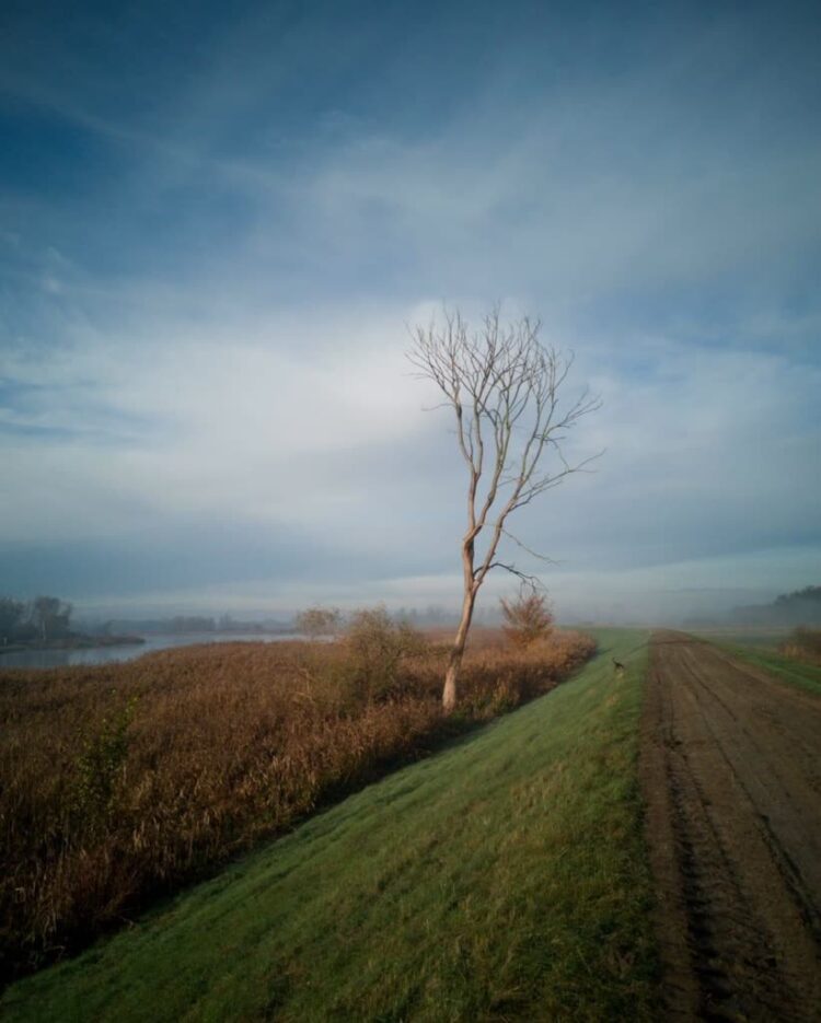 Fundacja Wbrew Pozorom- spotkanie z Ulą Wujciów Radio Zachód - Lubuskie