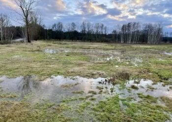 Co dalej z zabudową jednorodzinną w Barcikowicach? Radio Zachód - Lubuskie