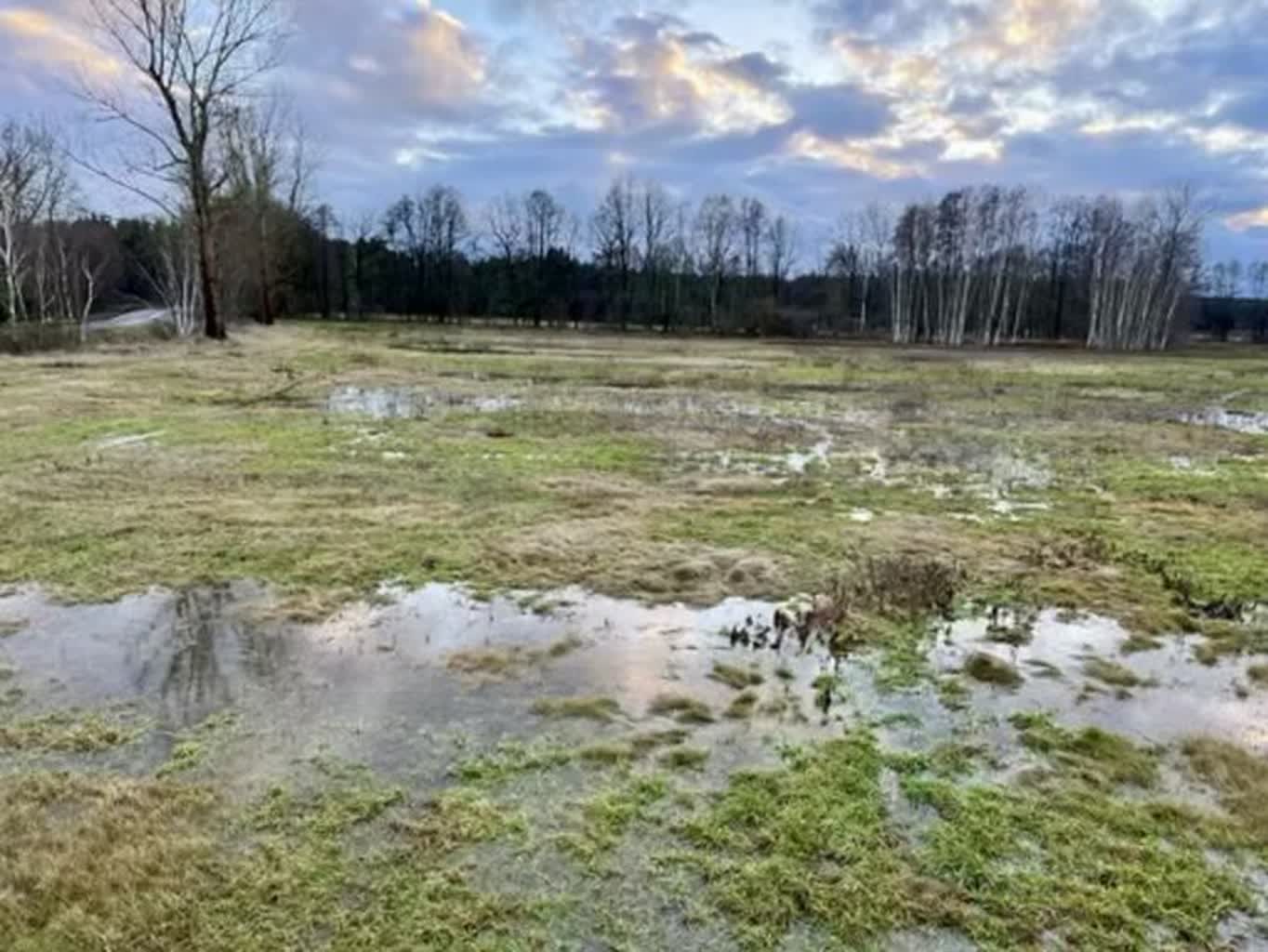 Co dalej z zabudową jednorodzinną w Barcikowicach? Radio Zachód - Lubuskie