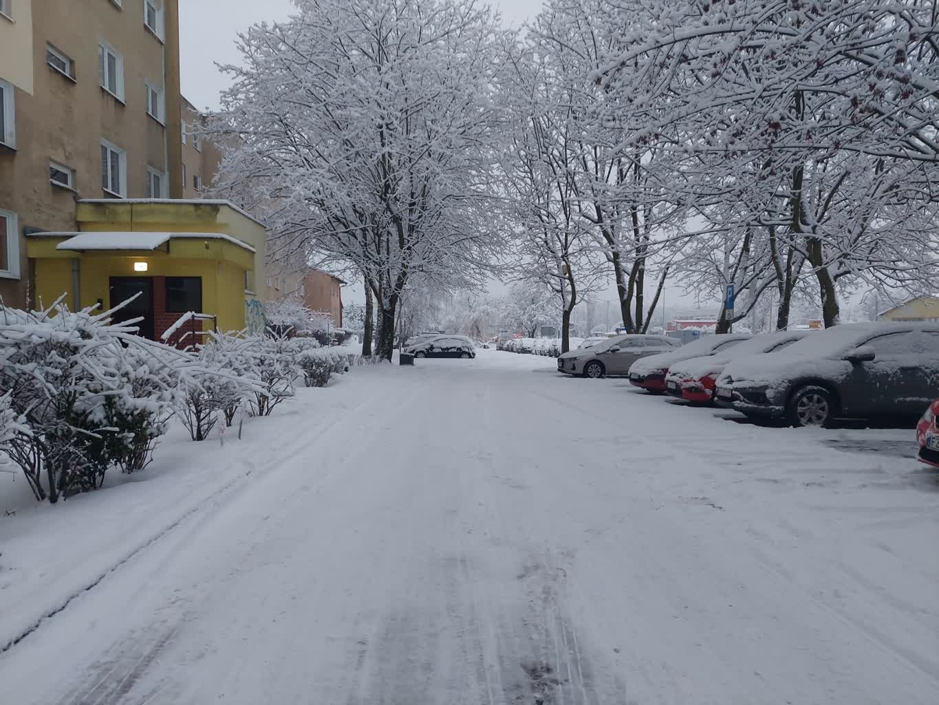 Trudne warunki na zielonogórskich drogach i chodnikach [SONDA] Radio Zachód - Lubuskie
