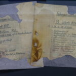 Fot. PAP/Lech Muszyński