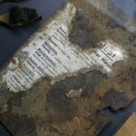 Fot. PAP/Lech Muszyński