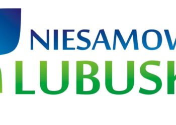 logo niesamowite lubuskie
