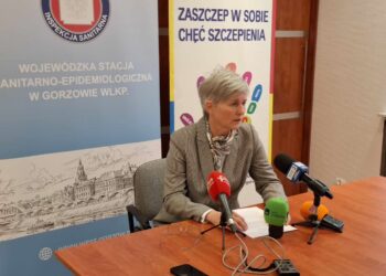 Połączone siły do walki z WZW A. Są nowe propozycje Radio Zachód - Lubuskie