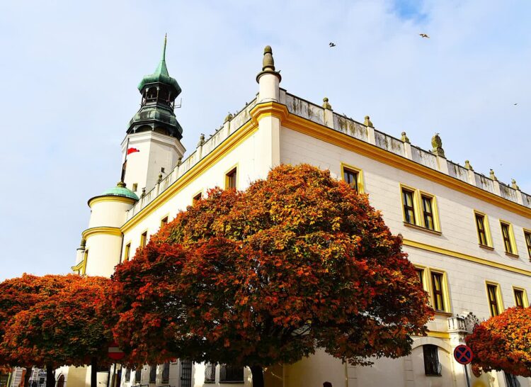 Urząd Gminy w Sulechowie (sulechow.pl)