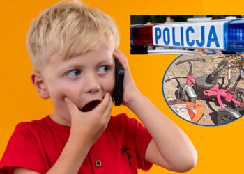 Fot. lodzka.policja.gov.pl/ i Freepik