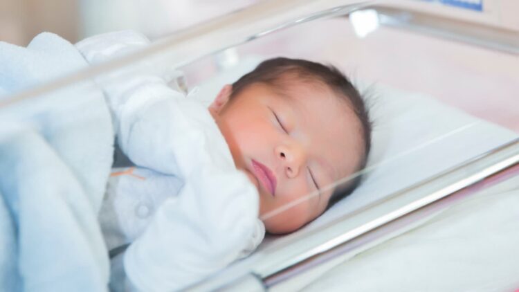 Fot. KamranAydinov/Freepik