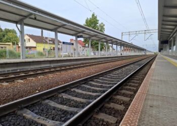 SKALT – co dalej z projektem? Radio Zachód - Lubuskie