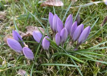 Idzie wiosna! Radio Zachód - Lubuskie