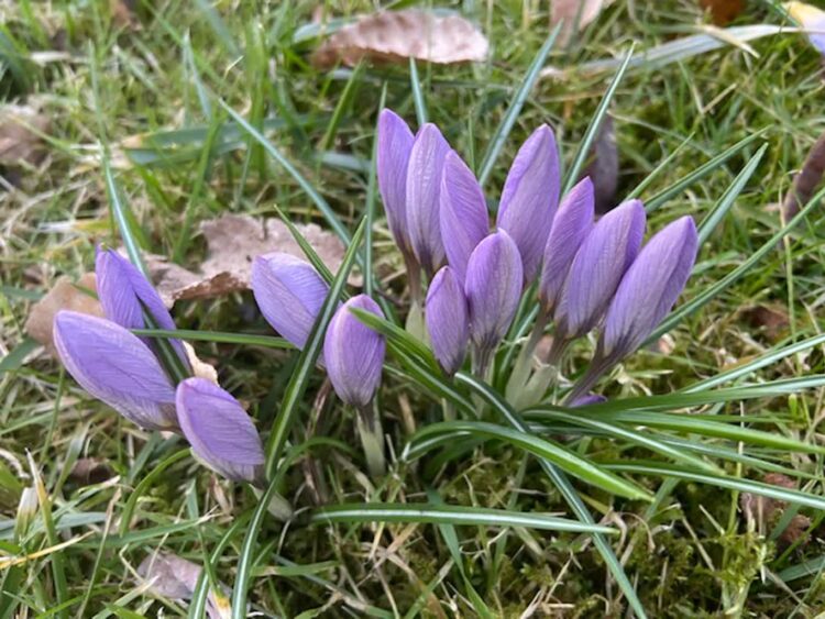 Idzie wiosna! Radio Zachód - Lubuskie