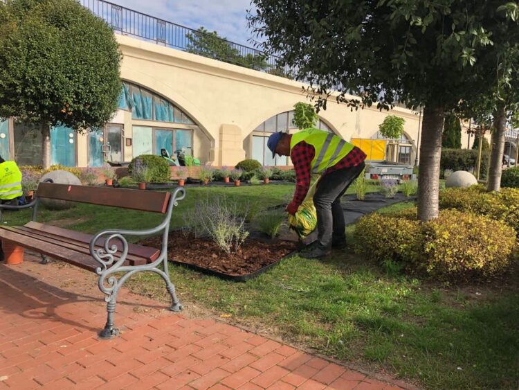 Zdjęcie ilustracyjne. Fot. Gorzów/Fot. Gorzów/FB