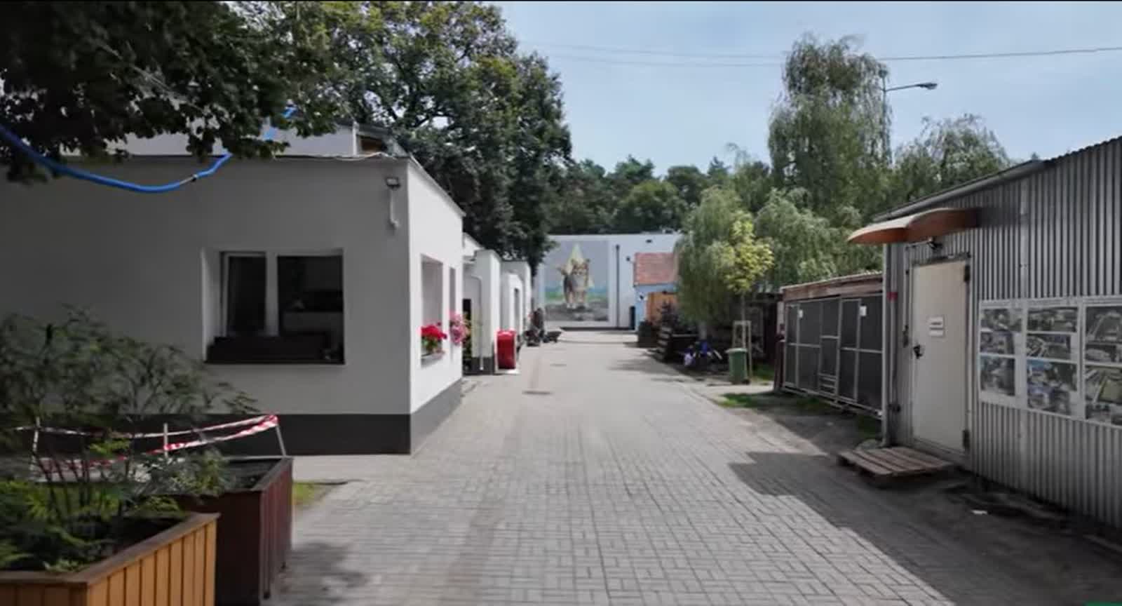 Miasto planuje samodzielnie prowadzić schronisko dla bezdomnych zwierząt Radio Zachód - Lubuskie