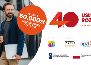 projekt usługi rozwojowe