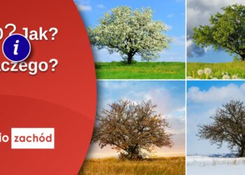 Nowa odsłona programu "Czyste Powietrze" Radio Zachód - Lubuskie