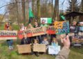 Mieszkańcy Zagórza w gm. Czerwieńsk protestują przeciwko wycinaniu olchowych lasów (fot. Piotr Bakselerowicz)